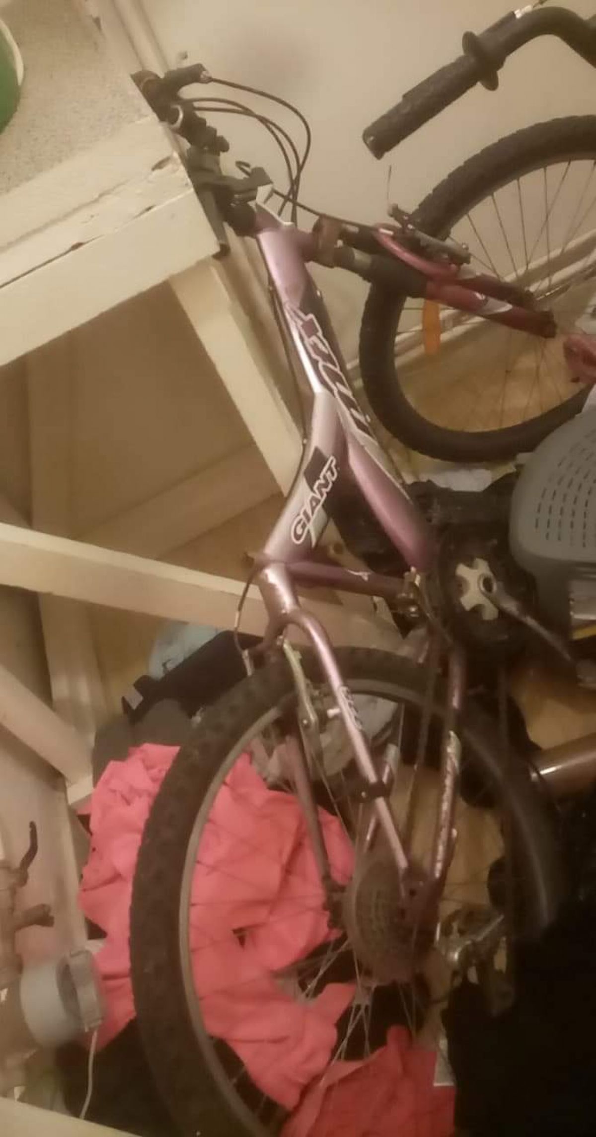 Pink and silver bike