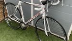 Cannondale synapse white with dark red writing and black