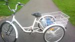 NEW Adult ELECTRIC BIKE TRICYCLE Trike Huge Basket ExDemo