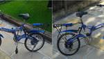 Folding Unisex Bicycle