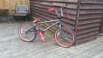 Rooster XR2 Freestyle BMX