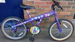 20" Apollo Street Rules Purple Bike