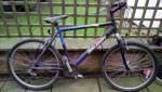 Raleigh mountain bike for sale