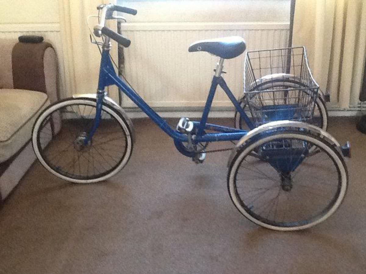 Pashley adult trike tricycle