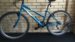 Well maintained Trax ladies road bike