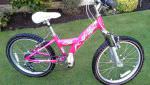 Raleigh Diva Pink Bicycle - 20" Wheels, 6 speed, very nice
