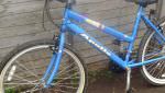 Apollo envy ladies mountain bike - blue 21 speed Telford