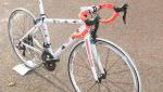 GLIDER "Wing Tip" Women's Carbon Road Bike - 46" Frame